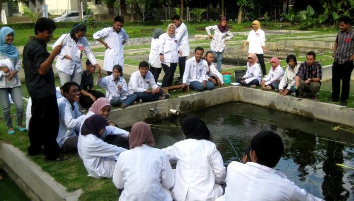 Edukasi Internal dan Eksternal Jurusan Perikanan Universitas Indonesia: Strategi, Implementasi, dan Dampak